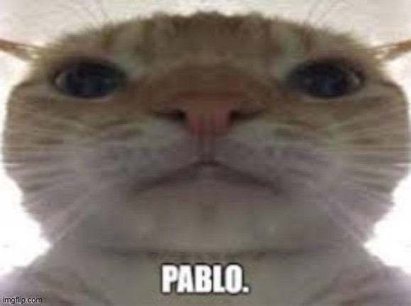 pablo. | image tagged in pablo | made w/ Imgflip meme maker