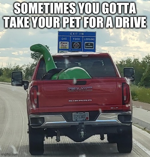 Dino pet | SOMETIMES YOU GOTTA TAKE YOUR PET FOR A DRIVE | image tagged in pet,drive,dinosaur | made w/ Imgflip meme maker