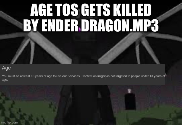 die, age tos, die! | AGE TOS GETS KILLED BY ENDER DRAGON.MP3 | image tagged in ender dragon | made w/ Imgflip meme maker