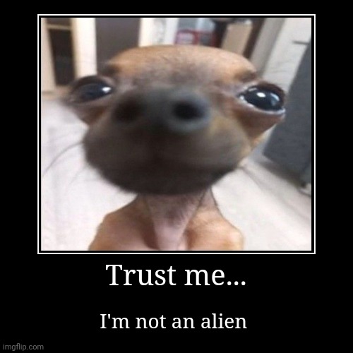 Extraterrestrial dog | Trust me... | I'm not an alien | image tagged in funny,demotivationals | made w/ Imgflip demotivational maker