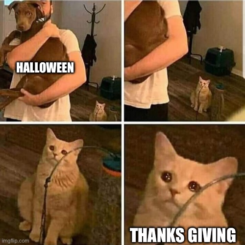 Sad Cat Holding Dog | HALLOWEEN THANKS GIVING | image tagged in sad cat holding dog | made w/ Imgflip meme maker