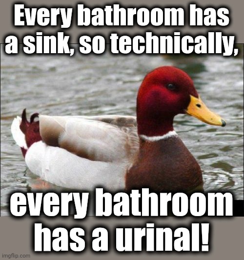 Malicious Advice Mallard | Every bathroom has a sink, so technically, every bathroom has a urinal! | image tagged in memes,malicious advice mallard,bathroom,sink,urinal | made w/ Imgflip meme maker
