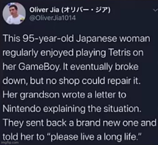 wholesome nintendo | image tagged in nintendo,wholesome,gameboy,tetris,old lady,wholesome content | made w/ Imgflip meme maker