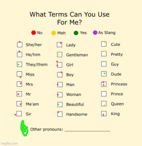 My preference | image tagged in pronouns sheet | made w/ Imgflip meme maker