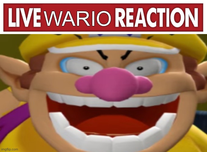 Live reaction | WARIO | image tagged in live reaction,wario | made w/ Imgflip meme maker