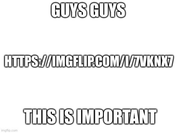 Seriously- please click on the link in comments (actually not THAT important but its about birdnerd-) | GUYS GUYS; HTTPS://IMGFLIP.COM/I/7VKNX7; THIS IS IMPORTANT | made w/ Imgflip meme maker