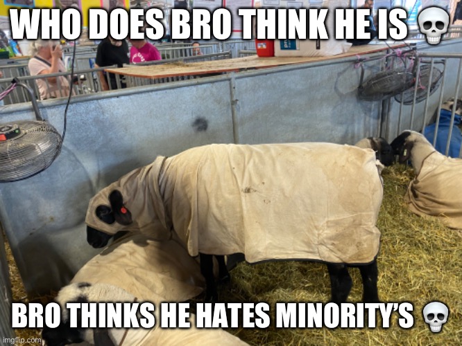WHO DOES BRO THINK HE IS 💀; BRO THINKS HE HATES MINORITY’S 💀 | made w/ Imgflip meme maker