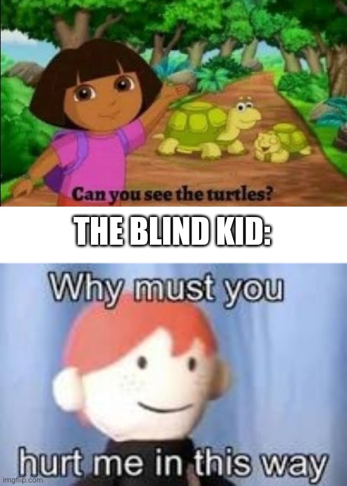 No i don't what the hell is this question | THE BLIND KID: | image tagged in why must you hurt me in this way,why are you reading the tags | made w/ Imgflip meme maker