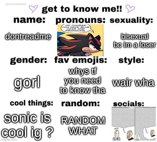 feelin silly | bisexual bc im a loser; dontreadme; whys tf you need to know tha; gorl; wair wha; sonic is cool ig ? RANDOM WHAT | image tagged in get to know me | made w/ Imgflip meme maker