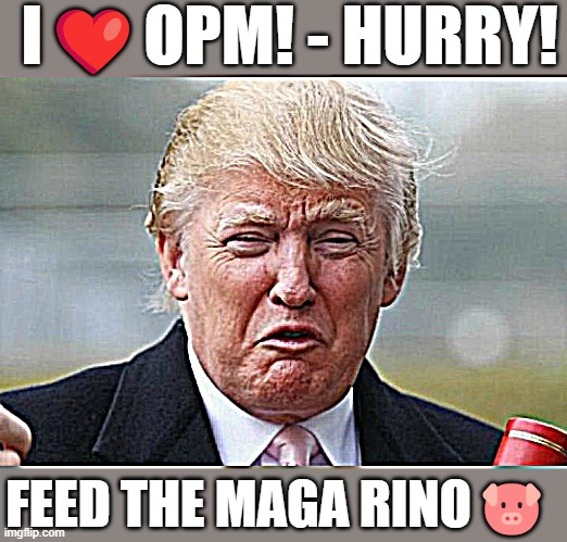 Trump Crybaby Crying For More Of Your Money | I❤️OPM! - HURRY! FEED THE MAGA RINO🐷 | image tagged in trump crybaby,money down toilet,shut up and take my money,rino,maga,trump jesus | made w/ Imgflip meme maker