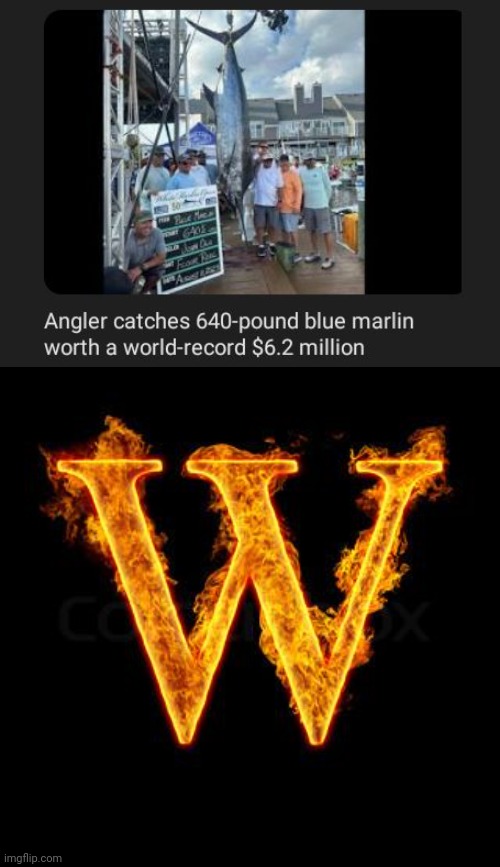 Blue marlin | image tagged in w,marlin,fish,angler,memes,world record | made w/ Imgflip meme maker