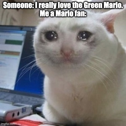 I actually had a classmate that called Luigi "Green Mario", it didn't offend me on that day, but now I'm offended | Someone: I really love the Green Mario.
Me a Mario fan: | image tagged in crying cat,mario,luigi,stupid people | made w/ Imgflip meme maker