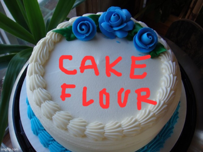 sorry cake | image tagged in sorry cake | made w/ Imgflip meme maker