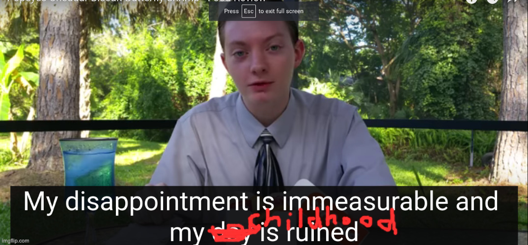 my disappointment is immeasurable and my day is ruined | image tagged in my disappointment is immeasurable and my day is ruined | made w/ Imgflip meme maker