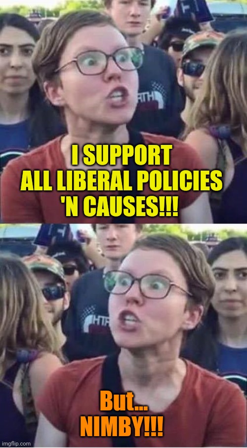 Angry Liberal Hypocrite | I SUPPORT ALL LIBERAL POLICIES 'N CAUSES!!! But... NIMBY!!! | image tagged in angry liberal hypocrite | made w/ Imgflip meme maker