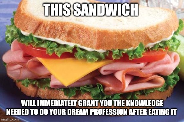 Dream job sandwich | THIS SANDWICH; WILL IMMEDIATELY GRANT YOU THE KNOWLEDGE NEEDED TO DO YOUR DREAM PROFESSION AFTER EATING IT | image tagged in sandwich | made w/ Imgflip meme maker