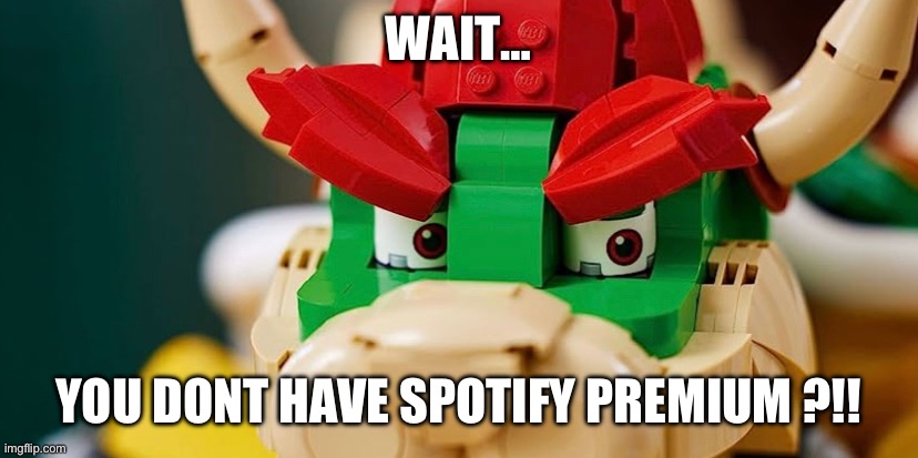 YOU WHAT | WAIT…; YOU DONT HAVE SPOTIFY PREMIUM ?!! | image tagged in bowser | made w/ Imgflip meme maker