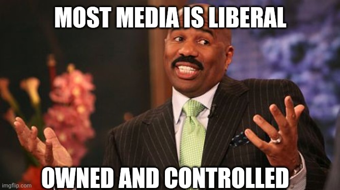 Steve Harvey Meme | MOST MEDIA IS LIBERAL OWNED AND CONTROLLED | image tagged in memes,steve harvey | made w/ Imgflip meme maker