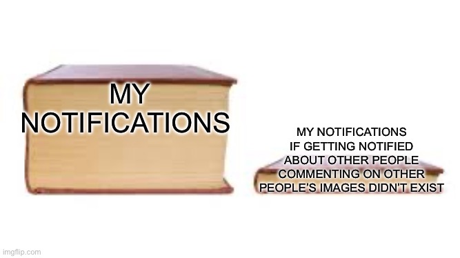Anyone got these? | MY NOTIFICATIONS; MY NOTIFICATIONS IF GETTING NOTIFIED ABOUT OTHER PEOPLE COMMENTING ON OTHER PEOPLE’S IMAGES DIDN’T EXIST | image tagged in big book small book,relatable | made w/ Imgflip meme maker