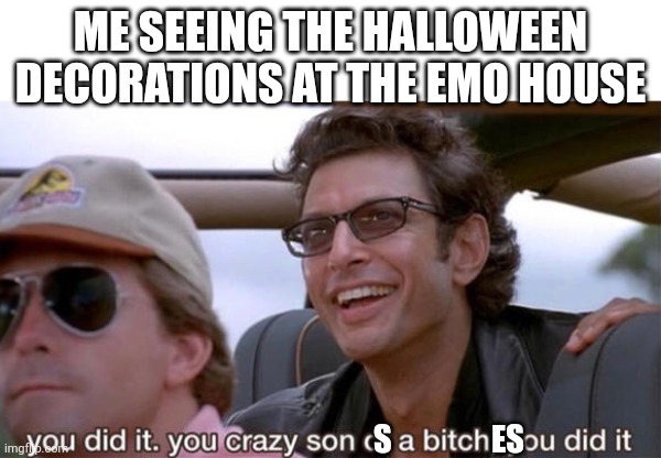 . | ME SEEING THE HALLOWEEN DECORATIONS AT THE EMO HOUSE; S                ES | image tagged in you crazy son of a bitch you did it,hanging out | made w/ Imgflip meme maker