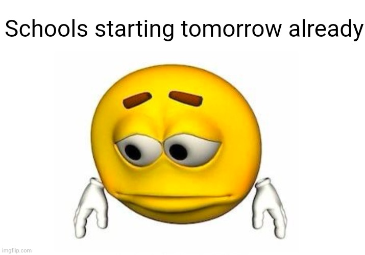 Summer went by so quick | Schools starting tomorrow already | image tagged in school,summertime,summer,bruh moment | made w/ Imgflip meme maker