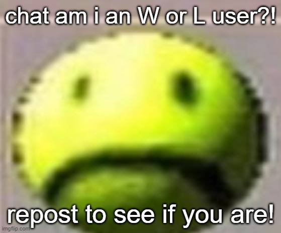 dont repost this i did it cause funs | chat am i an W or L user?! repost to see if you are! | made w/ Imgflip meme maker