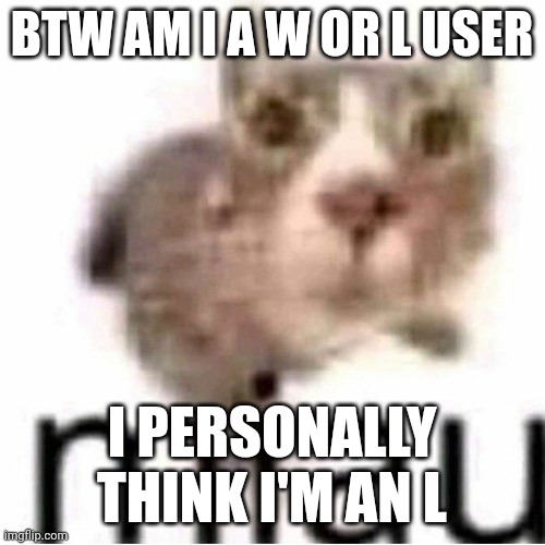 miau | BTW AM I A W OR L USER; I PERSONALLY THINK I'M AN L | image tagged in miau | made w/ Imgflip meme maker