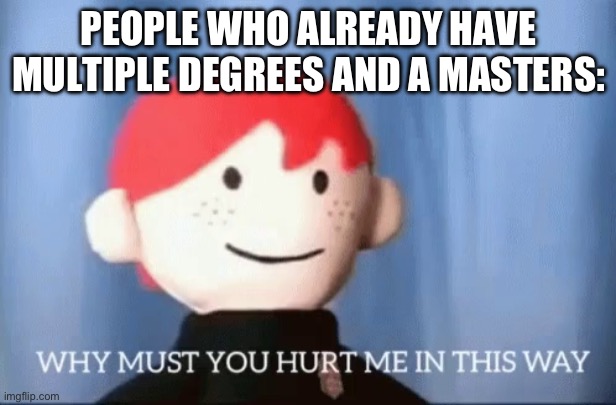 why must you hurt me in this way | PEOPLE WHO ALREADY HAVE MULTIPLE DEGREES AND A MASTERS: | image tagged in why must you hurt me in this way | made w/ Imgflip meme maker