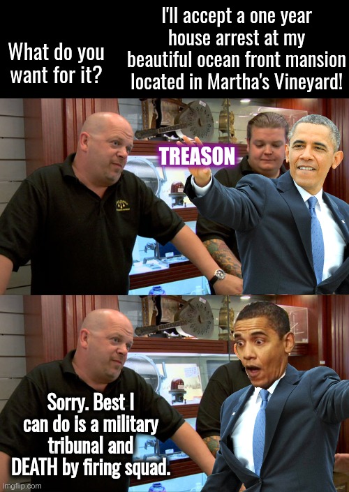 TREASON | I'll accept a one year house arrest at my beautiful ocean front mansion located in Martha's Vineyard! What do you want for it? TREASON; Sorry. Best I can do is a military tribunal and DEATH by firing squad. | image tagged in pawn stars best i can do,barack obama,treason,tribunal,firing squad | made w/ Imgflip meme maker