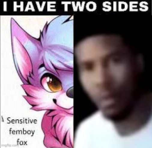 (Uh...the first one is not real.) | image tagged in i have two sides | made w/ Imgflip meme maker