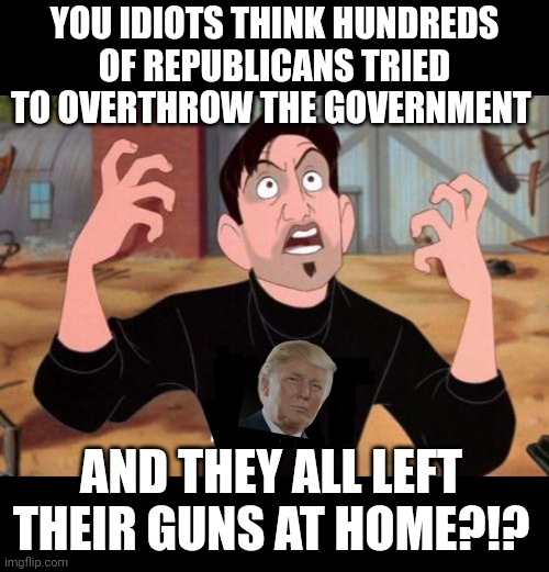 Artist yelling ART | YOU IDIOTS THINK HUNDREDS OF REPUBLICANS TRIED TO OVERTHROW THE GOVERNMENT; AND THEY ALL LEFT THEIR GUNS AT HOME?!? | image tagged in artist yelling art | made w/ Imgflip meme maker