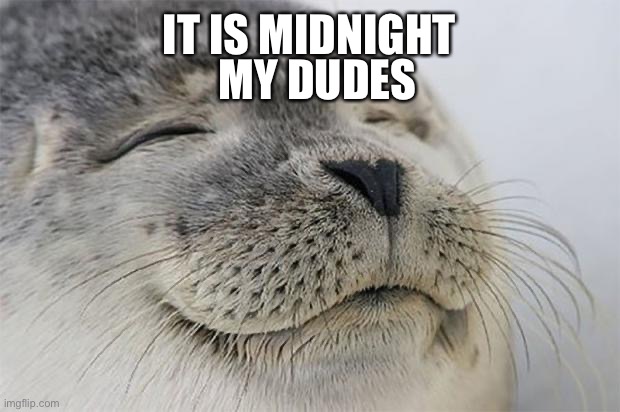 It is midnight on Sunday the 13th | IT IS MIDNIGHT; MY DUDES | image tagged in memes,satisfied seal | made w/ Imgflip meme maker