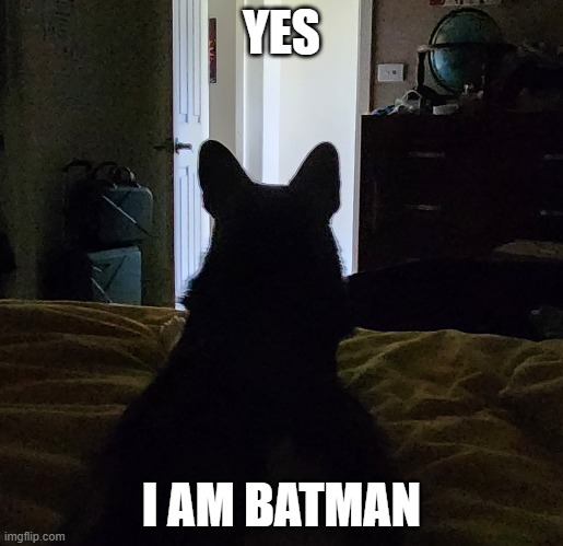 Land is batman | YES; I AM BATMAN | image tagged in lando is batman | made w/ Imgflip meme maker
