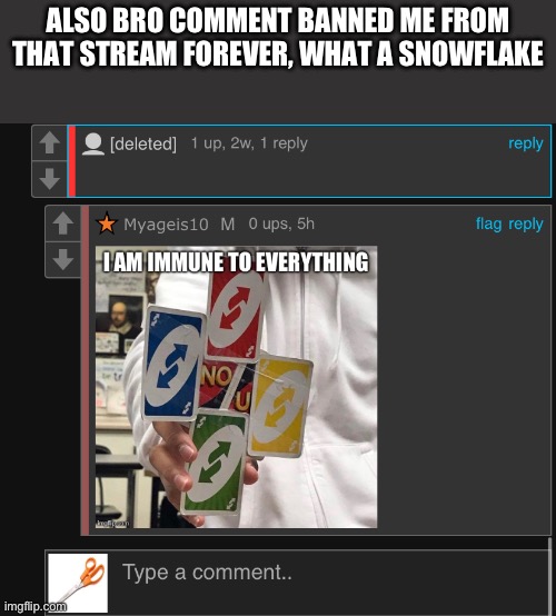 ALSO BRO COMMENT BANNED ME FROM THAT STREAM FOREVER, WHAT A SNOWFLAKE | made w/ Imgflip meme maker