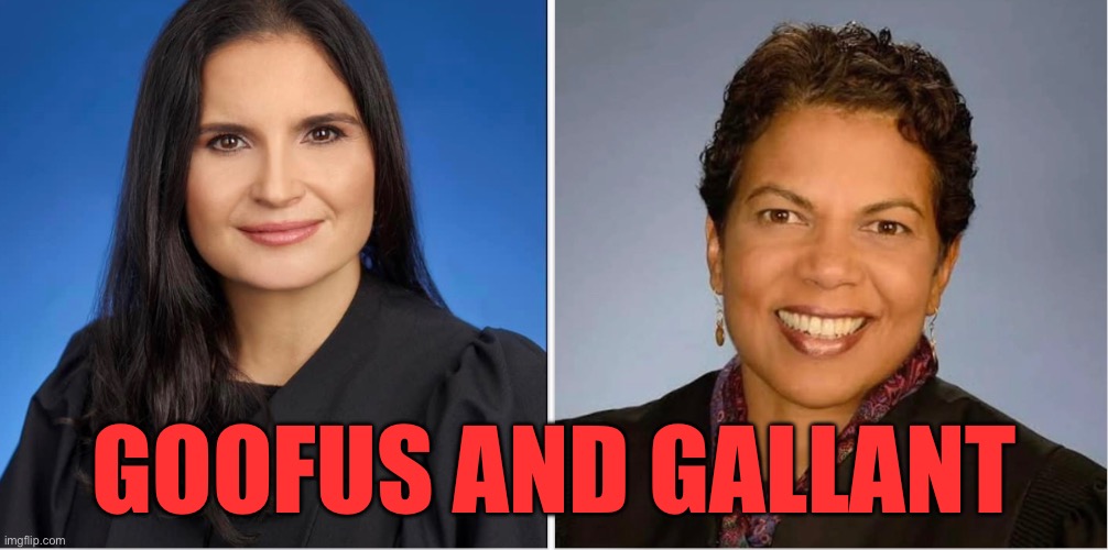GOOFUS AND GALLANT | GOOFUS AND GALLANT | image tagged in aileen cannon,tanya chutkan,donald trump,indictments,jack smith | made w/ Imgflip meme maker