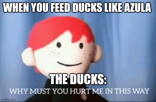 Azula will be attacked by turtle-ducks | WHEN YOU FEED DUCKS LIKE AZULA; THE DUCKS: | image tagged in why must you hurt me in this way,avatar the last airbender | made w/ Imgflip meme maker