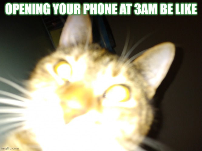 How it be like | OPENING YOUR PHONE AT 3AM BE LIKE | image tagged in cat | made w/ Imgflip meme maker