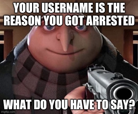 arrest | YOUR USERNAME IS THE REASON YOU GOT ARRESTED; WHAT DO YOU HAVE TO SAY? | image tagged in gru gun | made w/ Imgflip meme maker