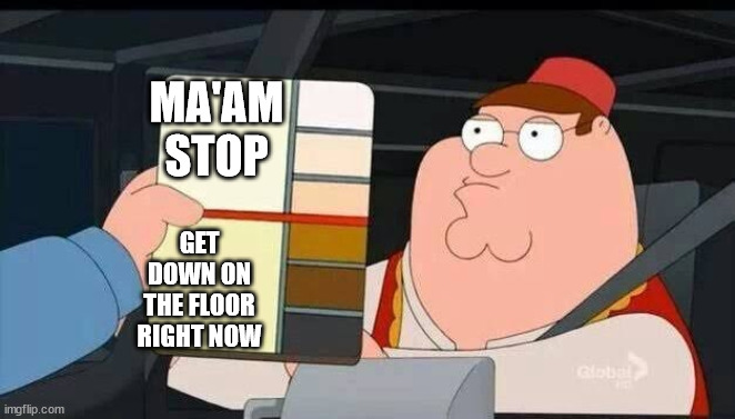 Family guy skin color | MA'AM STOP; GET DOWN ON THE FLOOR RIGHT NOW | image tagged in family guy skin color | made w/ Imgflip meme maker