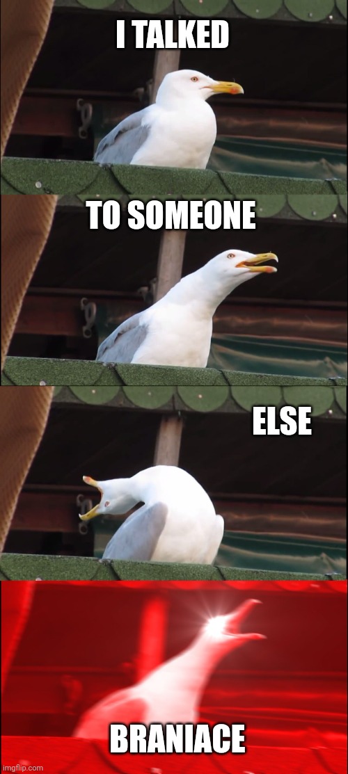 Inhaling Seagull | I TALKED; TO SOMEONE; ELSE; BRANIACE | image tagged in memes,inhaling seagull | made w/ Imgflip meme maker