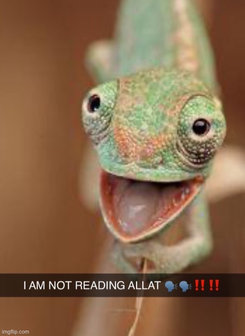 I am not reading allat | image tagged in i am not reading allat | made w/ Imgflip meme maker