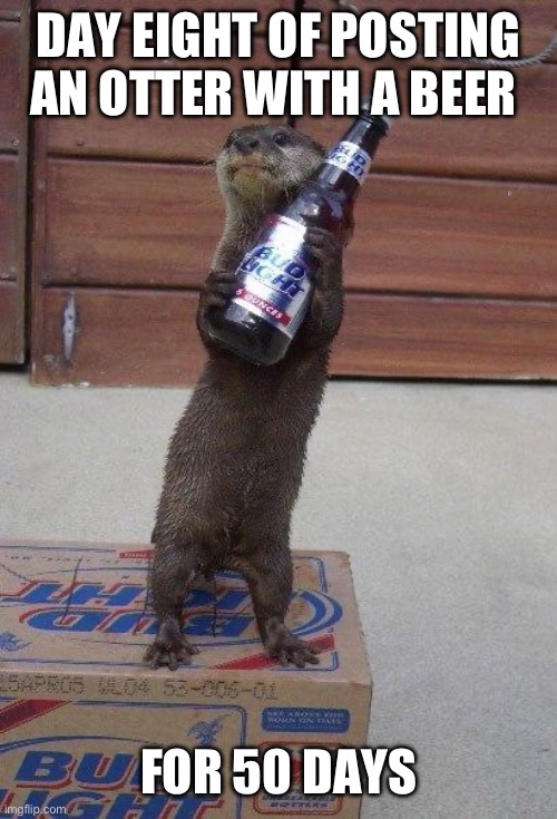 Day 8 of posting an otter with a beer for 50 days | DAY EIGHT OF POSTING AN OTTER WITH A BEER; FOR 50 DAYS | image tagged in beer otter,otters,animals,funny,funny memes,funny animals | made w/ Imgflip meme maker