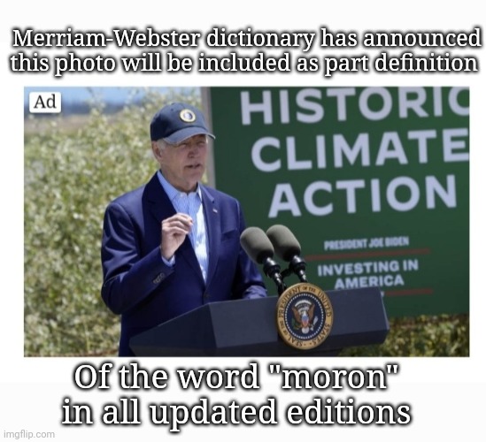 New Definition of Moron | Merriam-Webster dictionary has announced this photo will be included as part definition; Of the word "moron" in all updated editions | image tagged in libtards,finished,vote,president trump,always,republican party | made w/ Imgflip meme maker