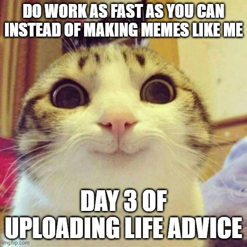 Smiling Cat | DO WORK AS FAST AS YOU CAN INSTEAD OF MAKING MEMES LIKE ME; DAY 3 OF UPLOADING LIFE ADVICE | image tagged in memes,smiling cat | made w/ Imgflip meme maker