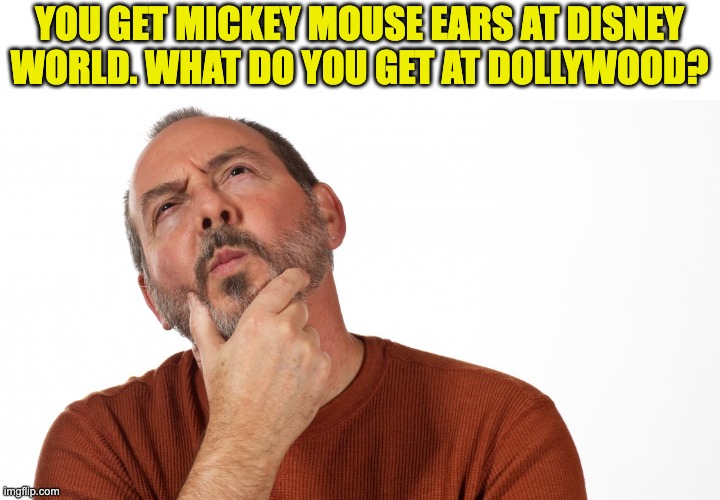 Hmm | YOU GET MICKEY MOUSE EARS AT DISNEY WORLD. WHAT DO YOU GET AT DOLLYWOOD? | image tagged in hmmm | made w/ Imgflip meme maker