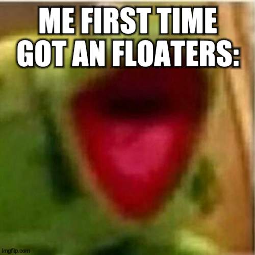 me be like: | ME FIRST TIME GOT AN FLOATERS: | image tagged in ahhhhhhhhhhhhh | made w/ Imgflip meme maker