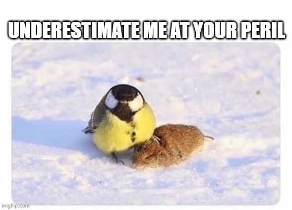 Underestimate me | UNDERESTIMATE ME AT YOUR PERIL | image tagged in you underestimate my power,mouse,enemies,angry birds | made w/ Imgflip meme maker
