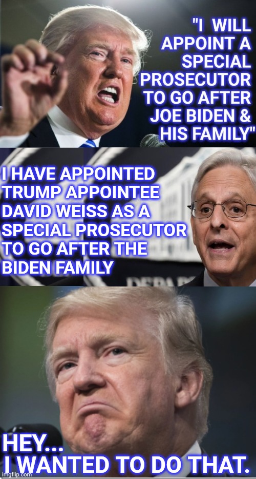 First! | I HAVE APPOINTED 
TRUMP APPOINTEE 
DAVID WEISS AS A
SPECIAL PROSECUTOR 
TO GO AFTER THE 
BIDEN FAMILY; HEY... I WANTED TO DO THAT. | image tagged in merrick garland,y u no,stop,investigation,like,ukraine | made w/ Imgflip meme maker