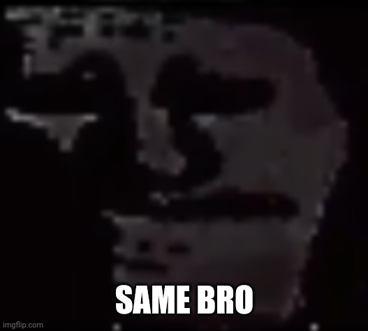 SAME BRO | image tagged in trollge | made w/ Imgflip meme maker