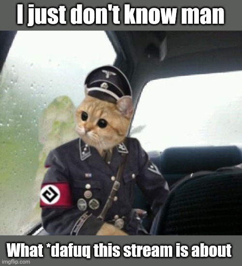 Introspective Grammar Cat | I just don't know man What *dafuq this stream is about | image tagged in introspective grammar cat | made w/ Imgflip meme maker